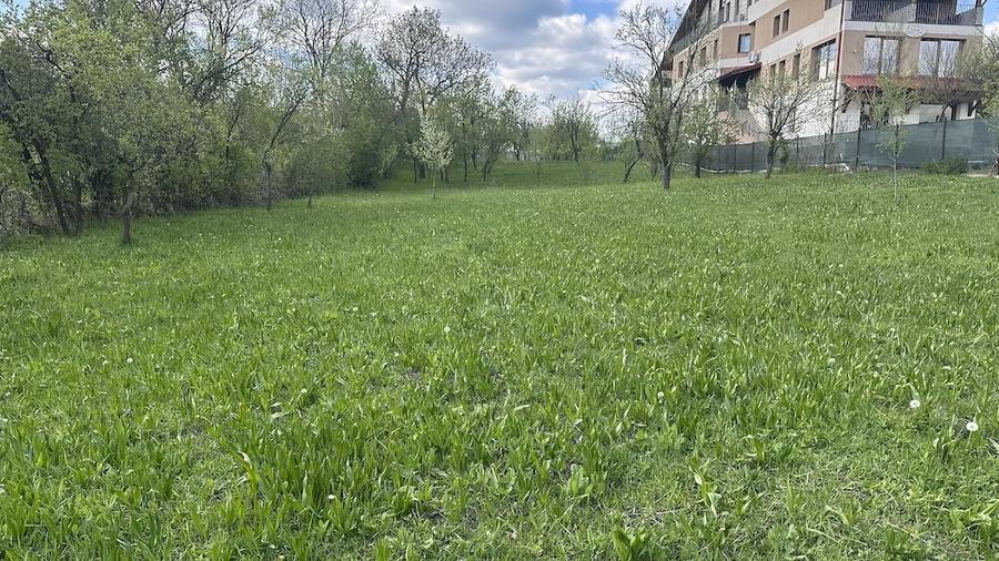 Teren de 3000 mp, în Central
