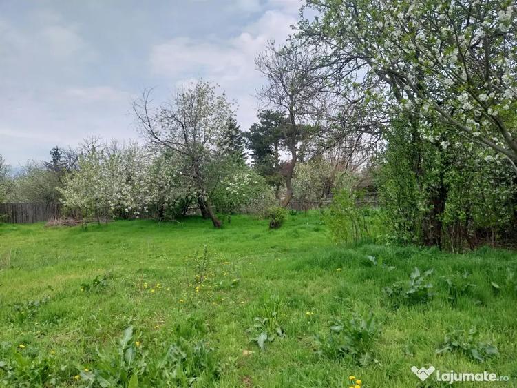Casă cu 3 camere în Boghești