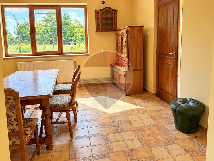 Casă individuală cu 6 camere cu Teren 4800 Mp în Ciocănești