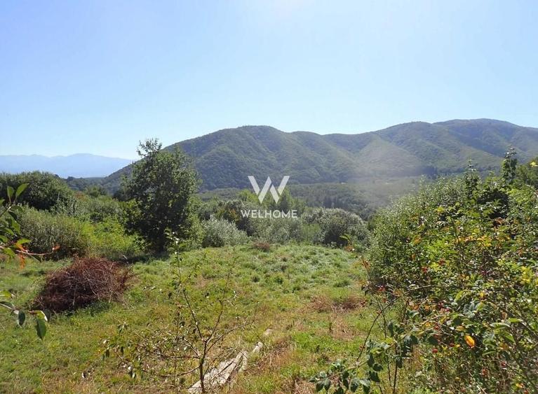 Teren Construcții intravilan de 1409 mp, în Cisnădioara