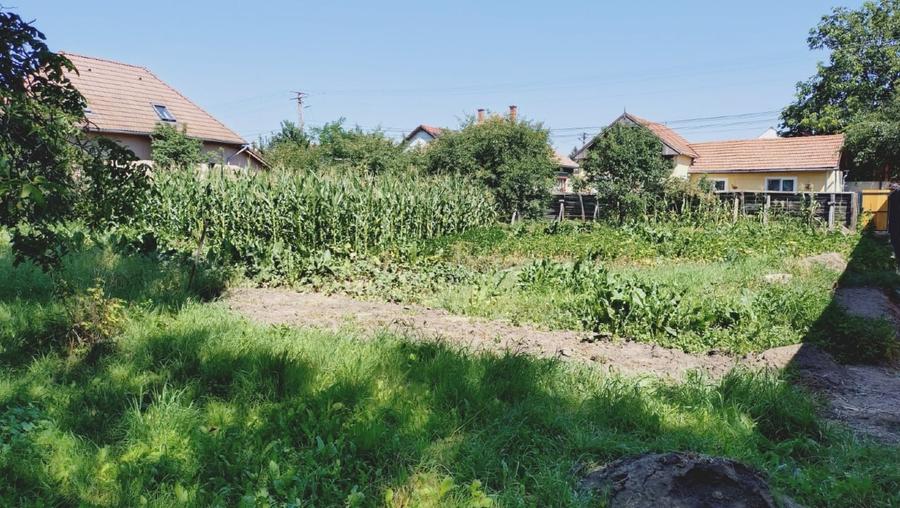 Teren Construcții intravilan de 1264 mp, în Central