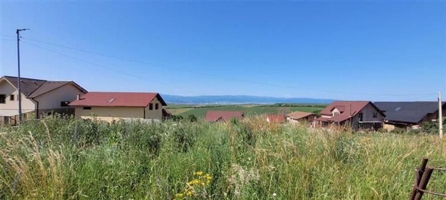 Teren Construcții intravilan de 491 mp, în Șura Mare