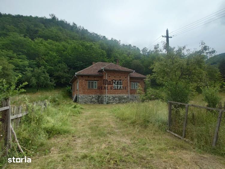 Casă cu 4 camere cu Teren 9563 Mp în Dumbrava