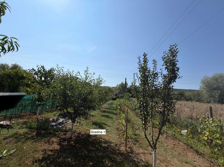 Casă cu 3 camere în Brebi