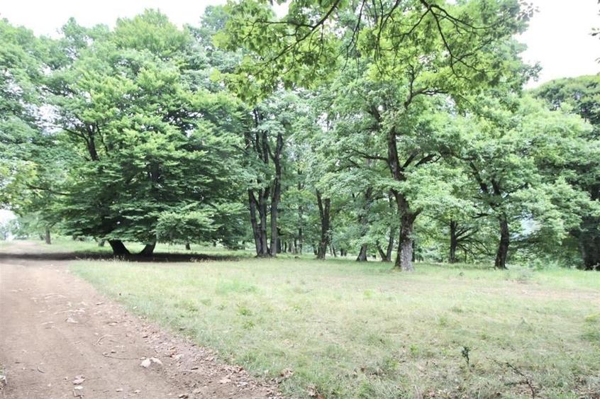 Teren Construcții intravilan de 4713 mp, în Poiana Brașov