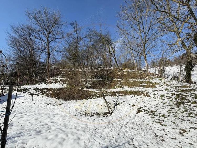 Casă cu Teren 780 Mp în Priboieni