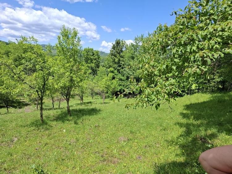 Oferim spre vanzare teren de 5000 m.Dintre acestia 1000 m este intravilan perfect pentru casa ta de vis sau o cabana de weekend . - 6