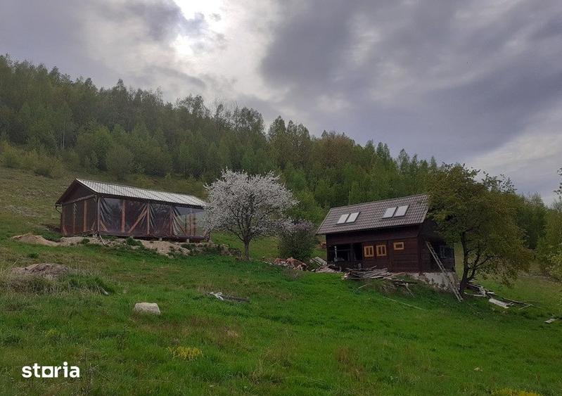 Casă cu 4 camere cu Teren 8000 Mp în Vale