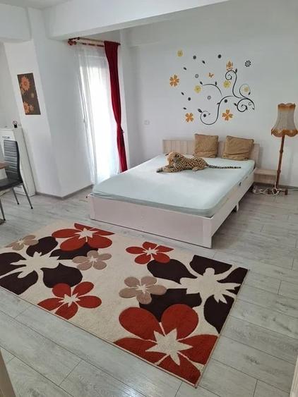 Apartament cu 1 cameră, decomandat, zona Podu Ros - 1