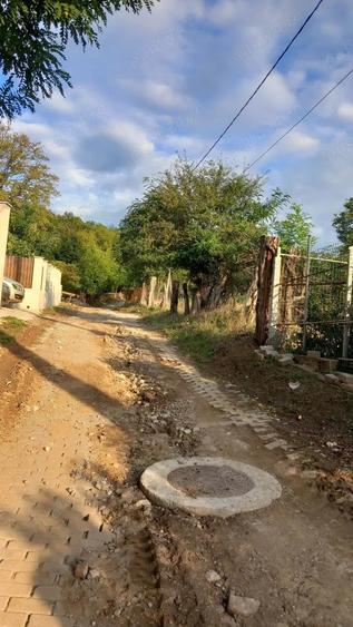 Teren în Marginea