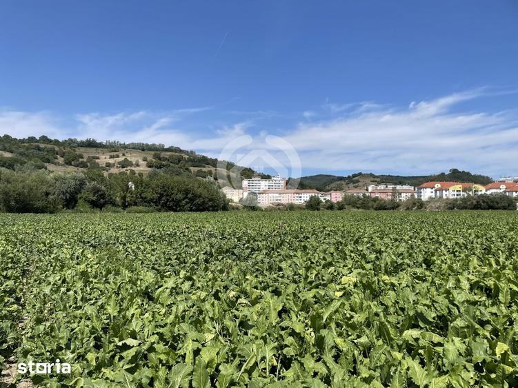 Teren de 13700 mp, în Central