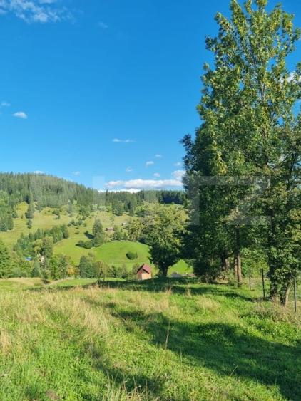 Teren Construcții intravilan de 2500 mp, în Exterior Vest