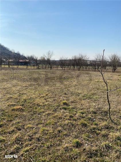 Teren de 800 mp, în Aștileu