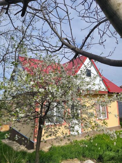 Casă cu 2 camere cu Teren 1154 Mp în Schitu Duca