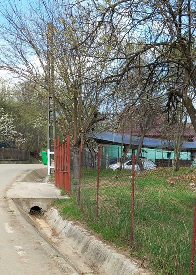 Teren de 909 mp, în Ciumărna