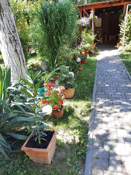 Apartament cu 4 camere decomandat în Chișoda