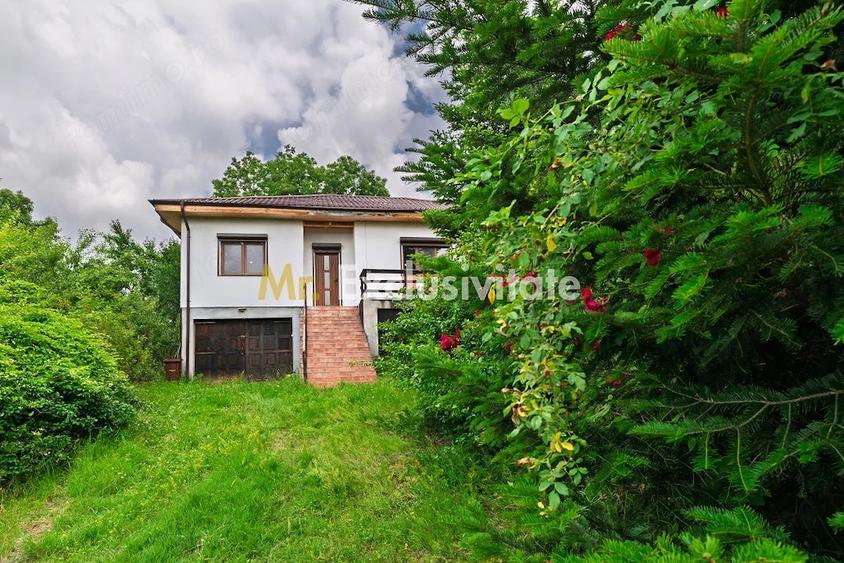 Casă cu 3 camere cu Teren 6290 Mp în Corbi