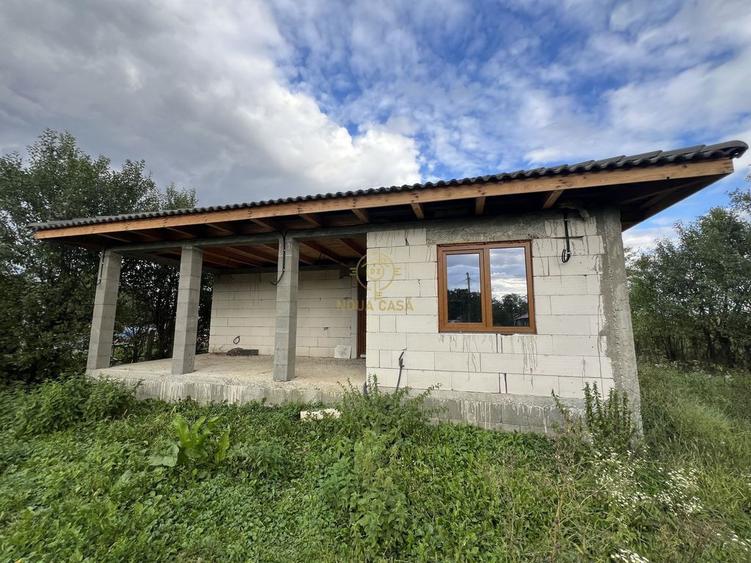 Casă cu 3 camere cu Teren 3800 Mp în Peleș