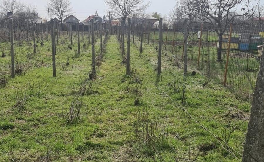Casă individuală cu 4 camere cu Canalizare în Coteana