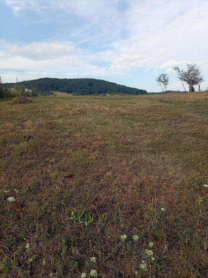 Teren de 1350 mp, în Aghireșu