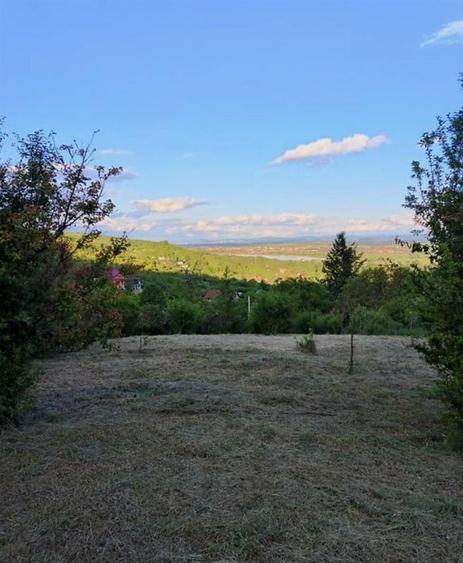 Teren intravilan de 1765 mp, în Podgoria