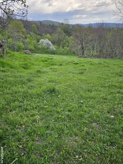 Teren de 949 mp, în Sălătrucel