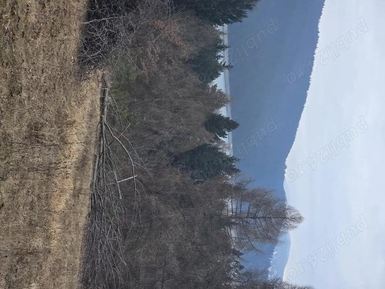 Teren de 2000 mp, în Hangu