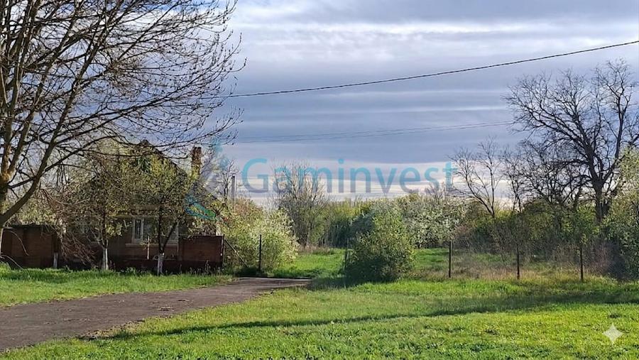 Teren Construcții intravilan de 2456 mp, în Niuved