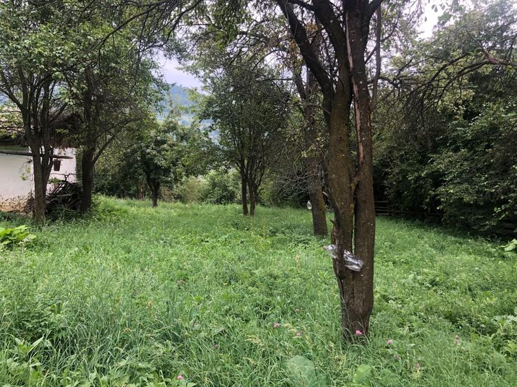 Teren de 2500 mp, în Pângărați