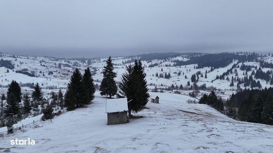 Teren de 25731 mp, în Breaza