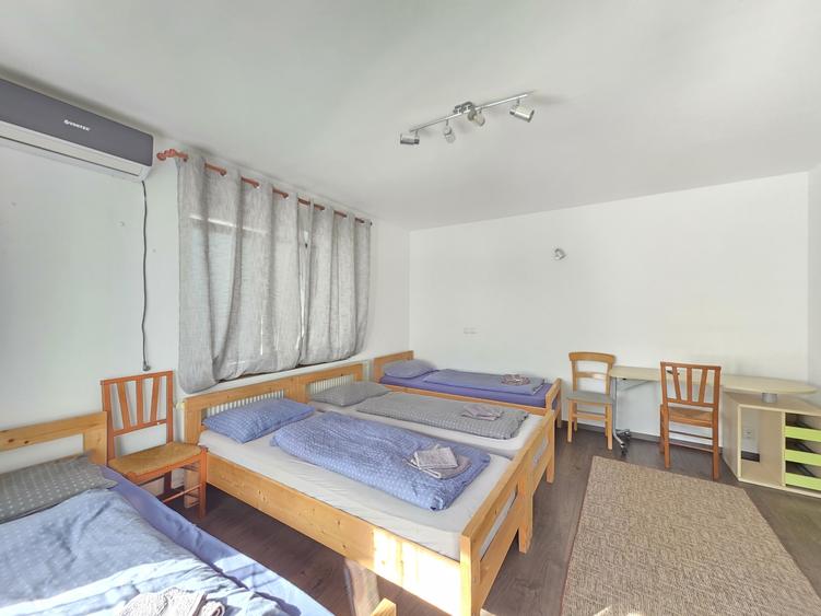 Casă individuală cu 8 camere cu Canalizare în Cristian