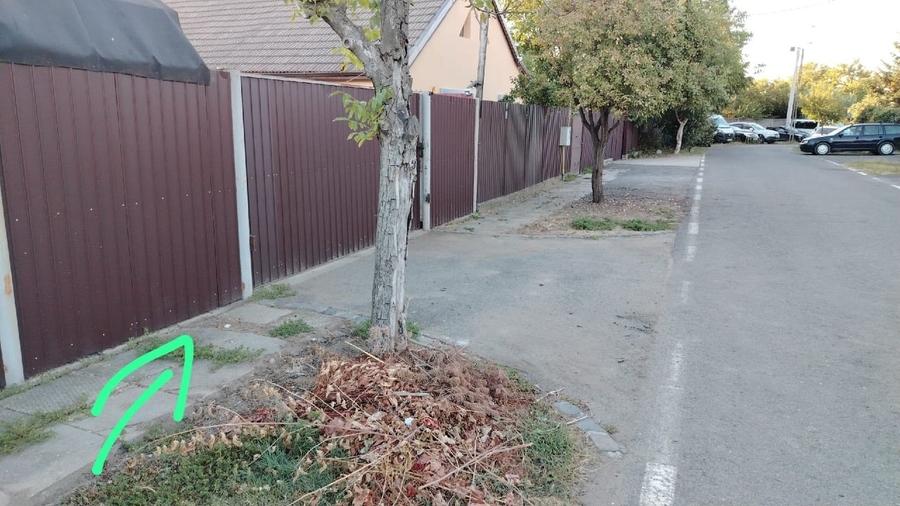 Teren Construcții intravilan de 428 mp, în Buziașului