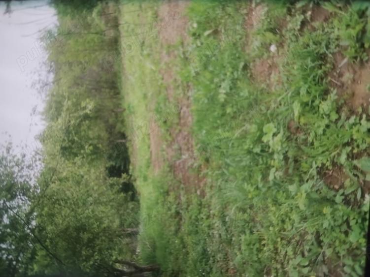 Teren de 1100 mp, în Seaca (Călimănești)