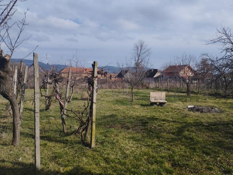 Casă individuală cu 5 camere cu Teren 1800 Mp în Buteni