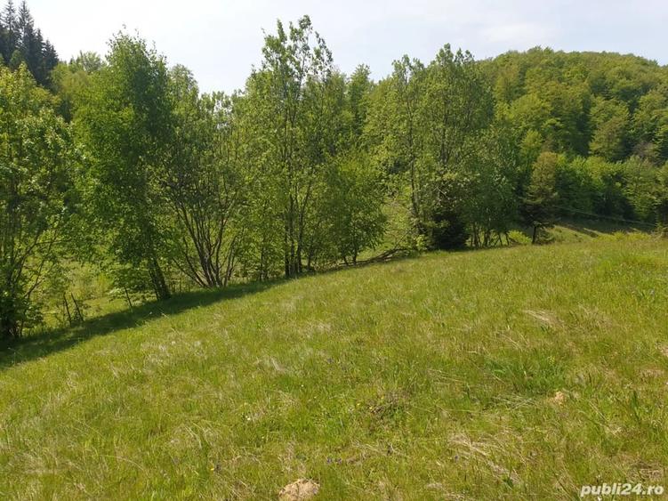 Teren de 1000 mp, în Dâmbovicioara