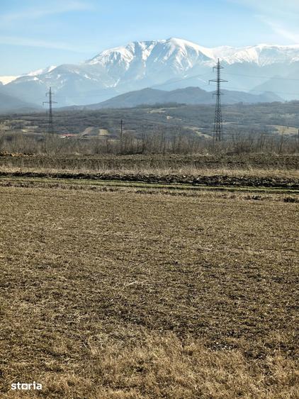 Teren de 2800 mp, în Turnu Roșu