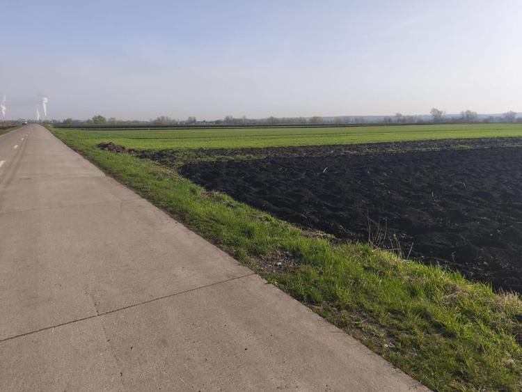 Teren agricol extravilan de 9300 mp, în Satu Mare