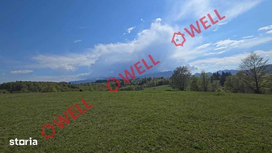 Teren de 2702 mp, în Vama Buzăului