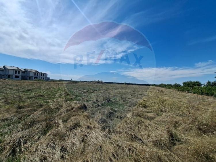 Teren agricol extravilan de 5316 mp, în Aradul Nou