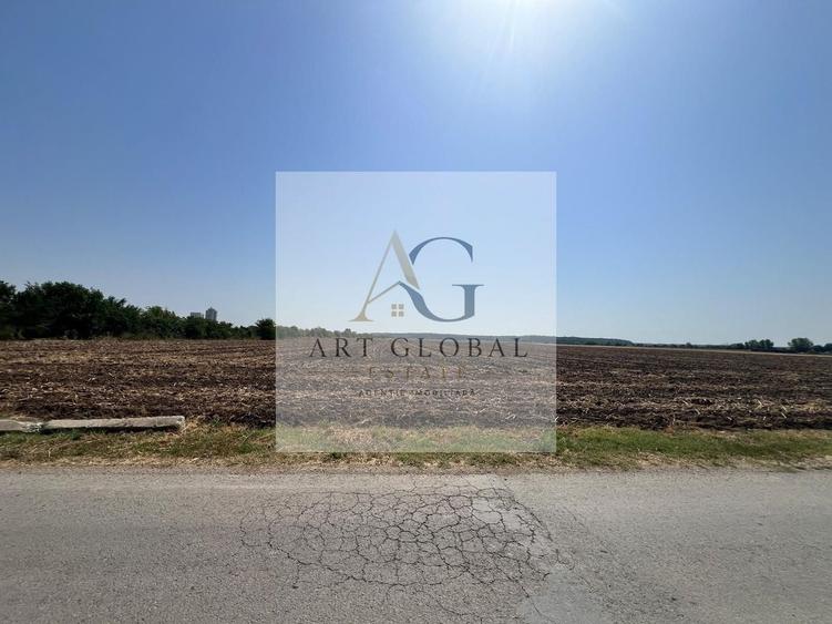 Teren Construcții intravilan de 65600 mp, în Căciulați