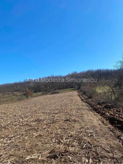 Vand casa batraneasca cu teren intravilan de 11000mp