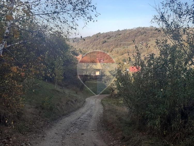 Teren agricol intravilan de 3658 mp, în Bran