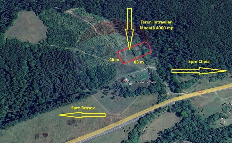 Teren Construcții intravilan de 4003 mp, în Babarunca