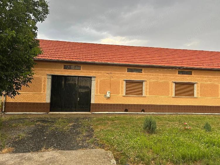 Casă cu Teren 1800 Mp în Constantin Daicoviciu