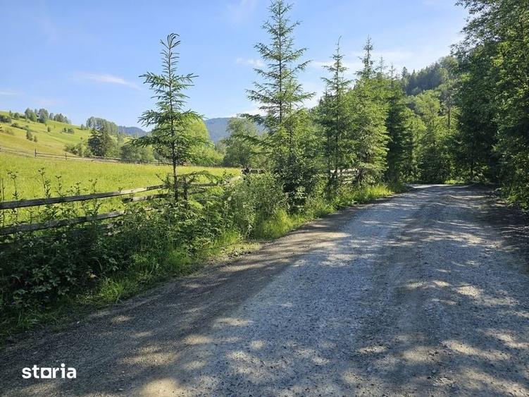 Teren intravilan de vanzare in Bucovina zona Breaza - 2