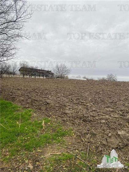 Teren Construcții intravilan de 12223 mp, în Berceni