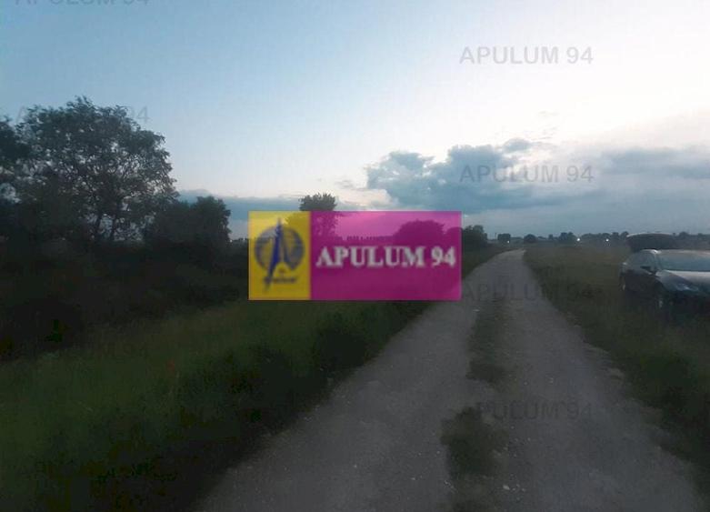 Teren Construcții intravilan de 3820 mp, în 1 Decembrie