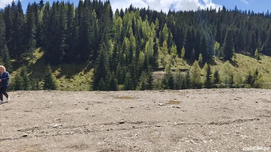Teren de 1000 mp, în Băișoara