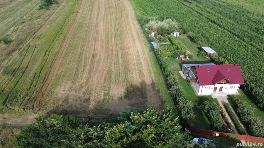 Teren de 11000 mp, în Lăceni