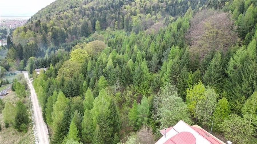 Teren Construcții intravilan de 6500 mp, în Dâmbul Morii